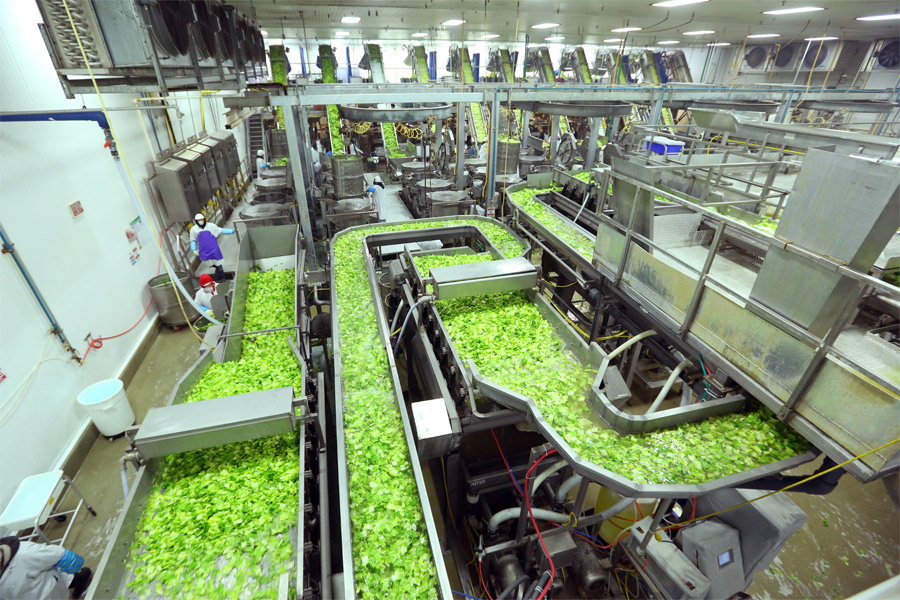 Food Processing Industry